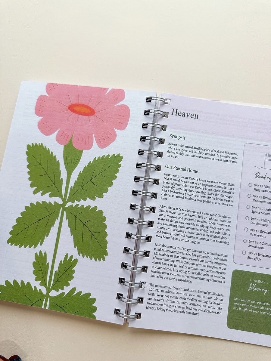 Bible In A Year Workbook, 6 Options | 2-4 Week TAT