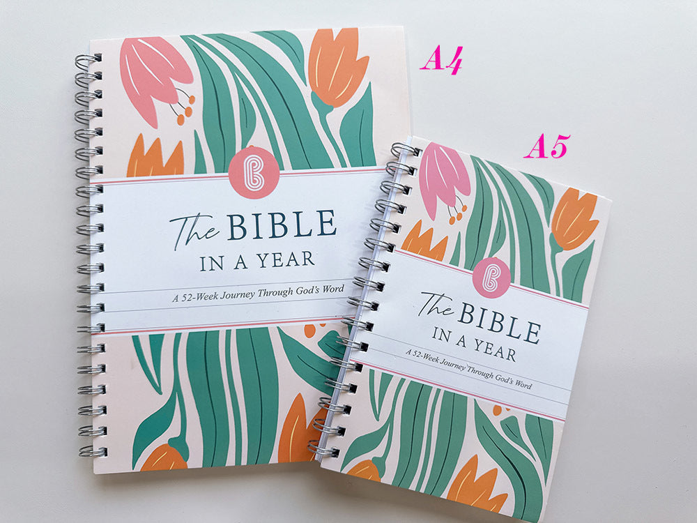 Bible In A Year Workbook, 6 Options | 2-4 Week TAT