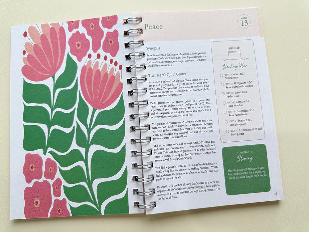 Bible In A Year Workbook, 6 Options | 2-4 Week TAT