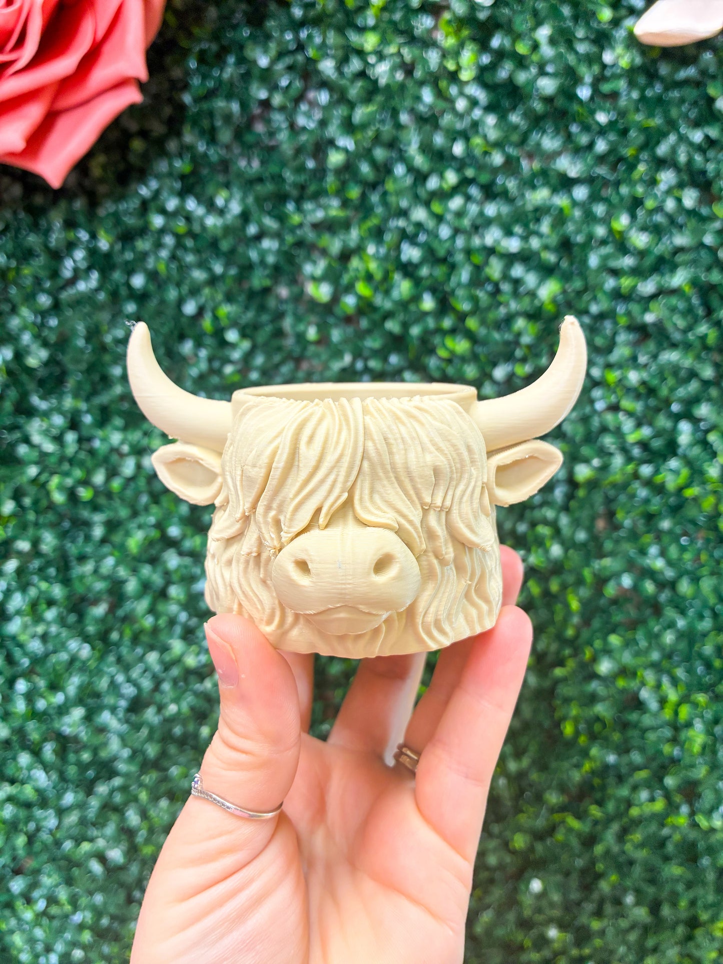 🐮🌿 Mini Highland Cow Planter / Earring Holder / Catch-All | Ready to Ship | LIMITED! ✨