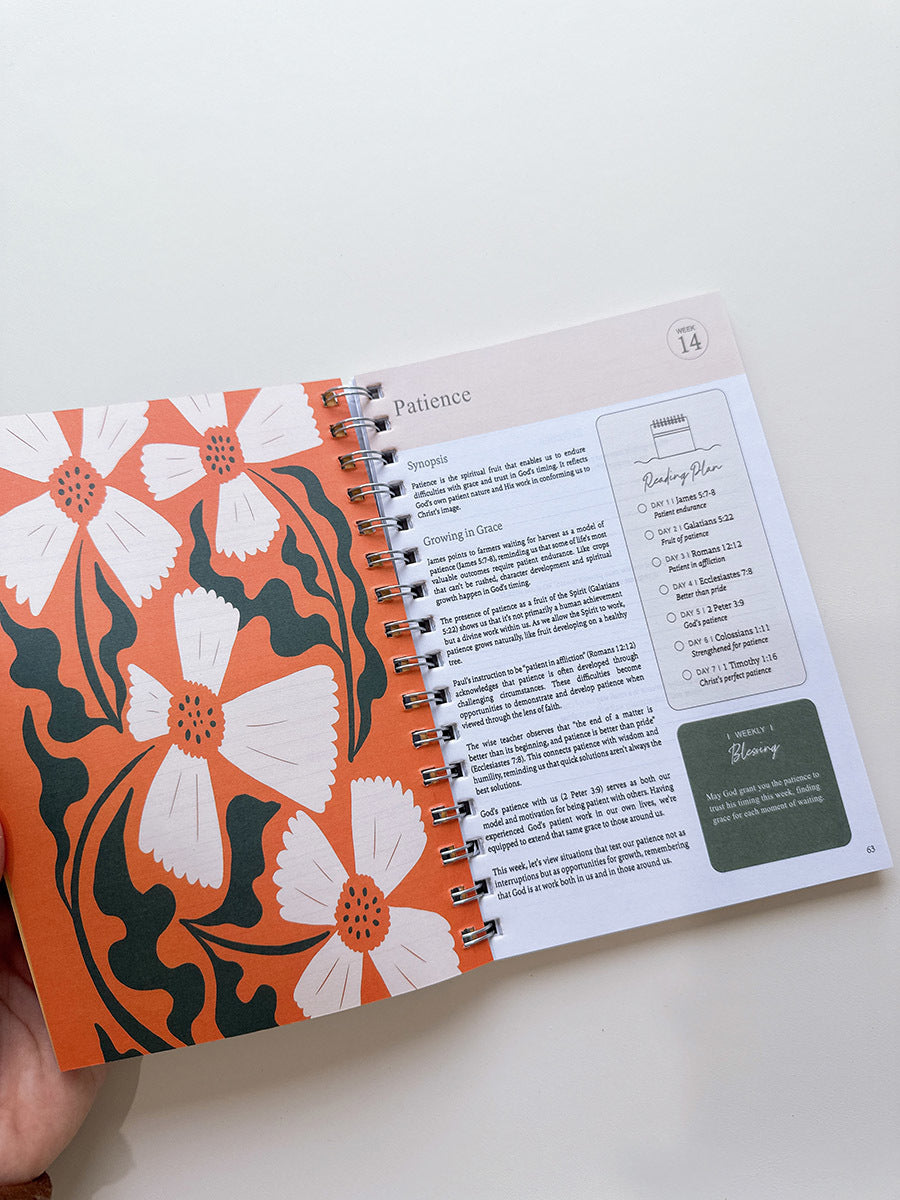 Bible In A Year Workbook, 6 Options | 2-4 Week TAT