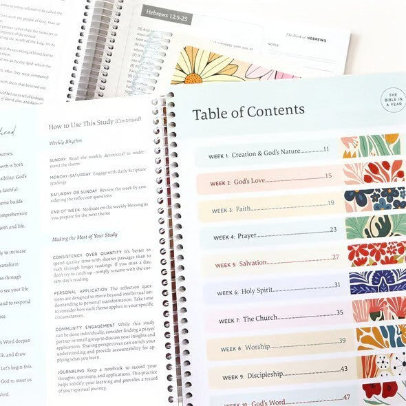 Bible In A Year Workbook, 6 Options | 2-4 Week TAT